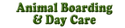 Animal Boarding & Day Care