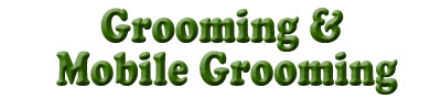 Grooming & Mobile Grooming
