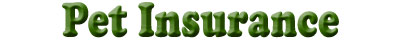 Pet Insurance